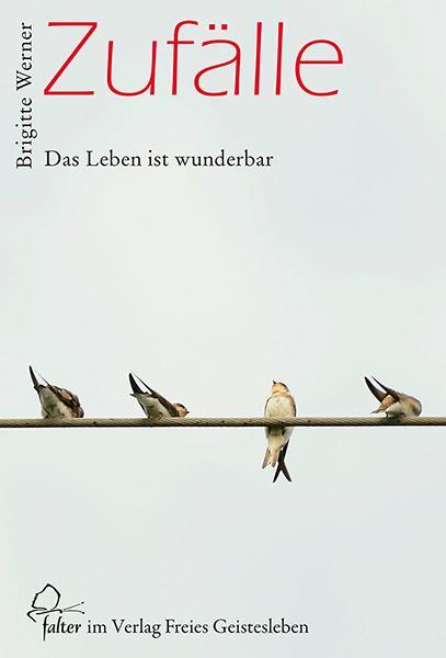 Cover: 9783772525452 | Zufälle | Das Leben ist wunderbar | Brigitte Werner | Taschenbuch