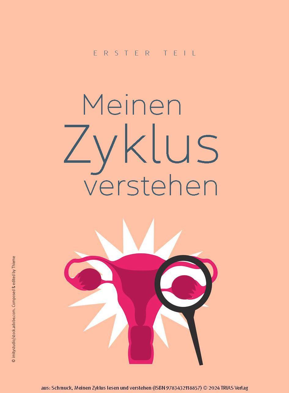Bild: 9783432118857 | Meinen Zyklus lesen und verstehen | Anne Schmuck | Taschenbuch | 2024