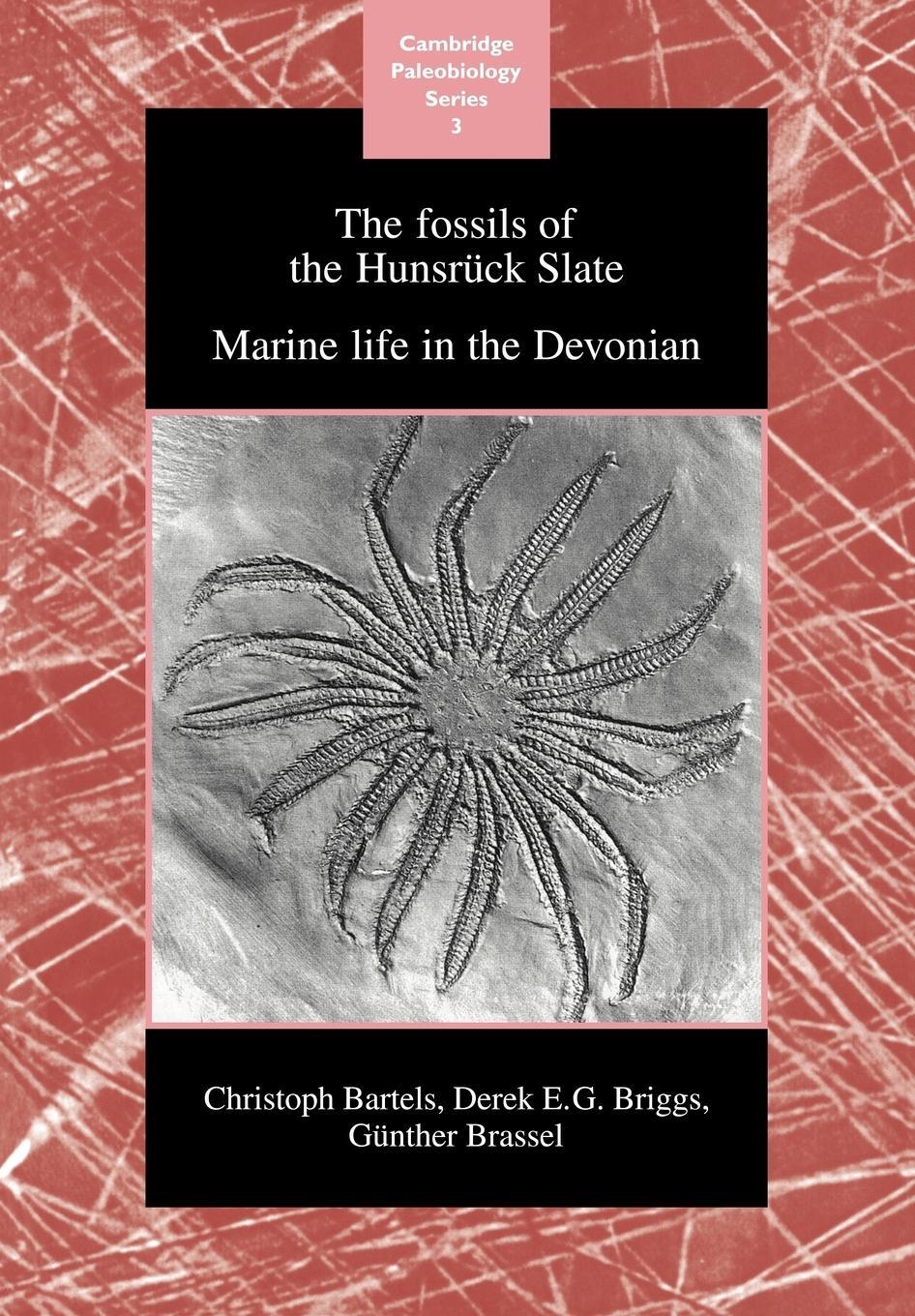 Cover: 9780521117074 | The Fossils of the Hunsruck Slate | Marine Life in the Devonian | Buch