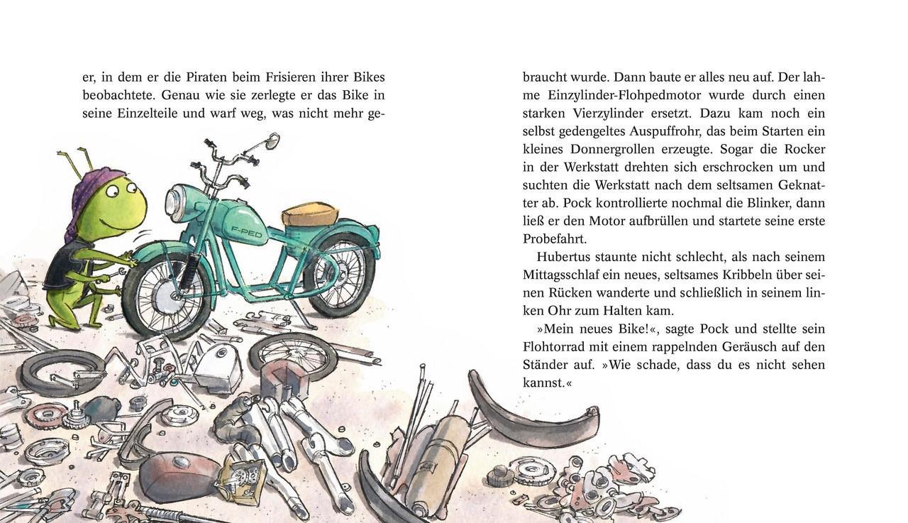 Bild: 9783522186476 | Schnüffelnasen 4: Schnüffelnasen geben Vollgas | Daniel Napp | Buch