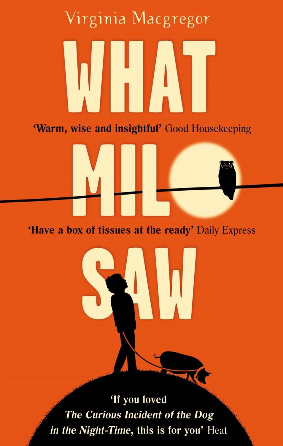 Cover: 9780751554274 | What Milo Saw | He sees the world in a very special way . . . | Buch