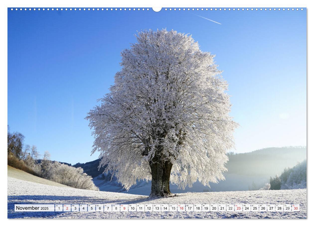 Bild: 9783435316861 | Winter. Zauberhafte Schneelandschaften (Wandkalender 2025 DIN A2...