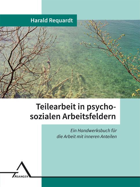 Cover: 9783893346646 | Teilearbeit in psychosozialen Arbeitsfeldern | Harald Requardt | Buch