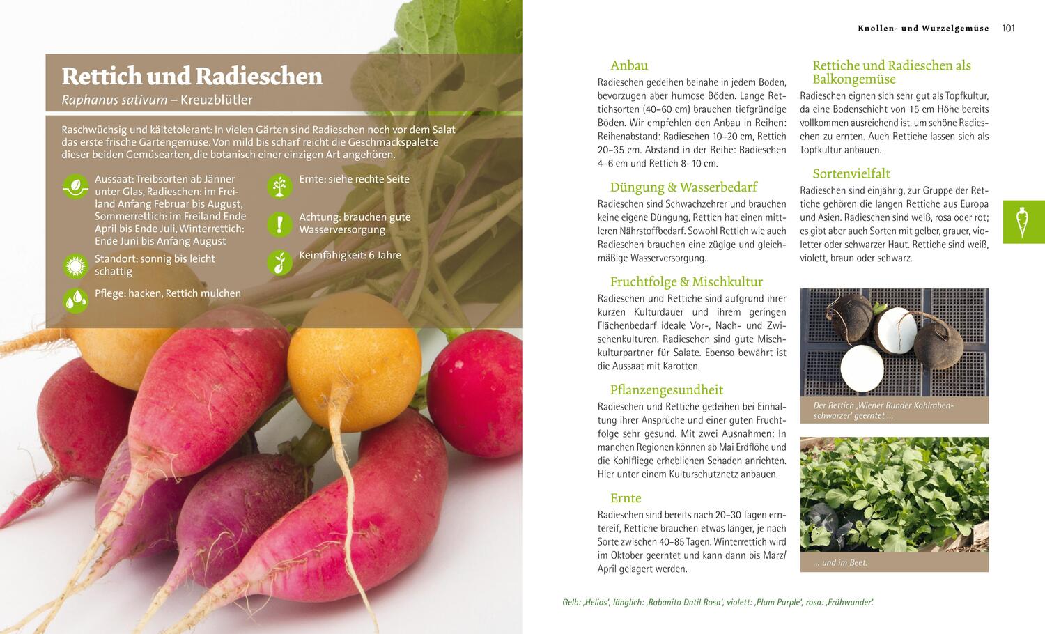 Bild: 9783706625326 | Bio-Gemüse-Ratgeber | Einfach anbauen. Vielfalt ernten | Buch | 2013