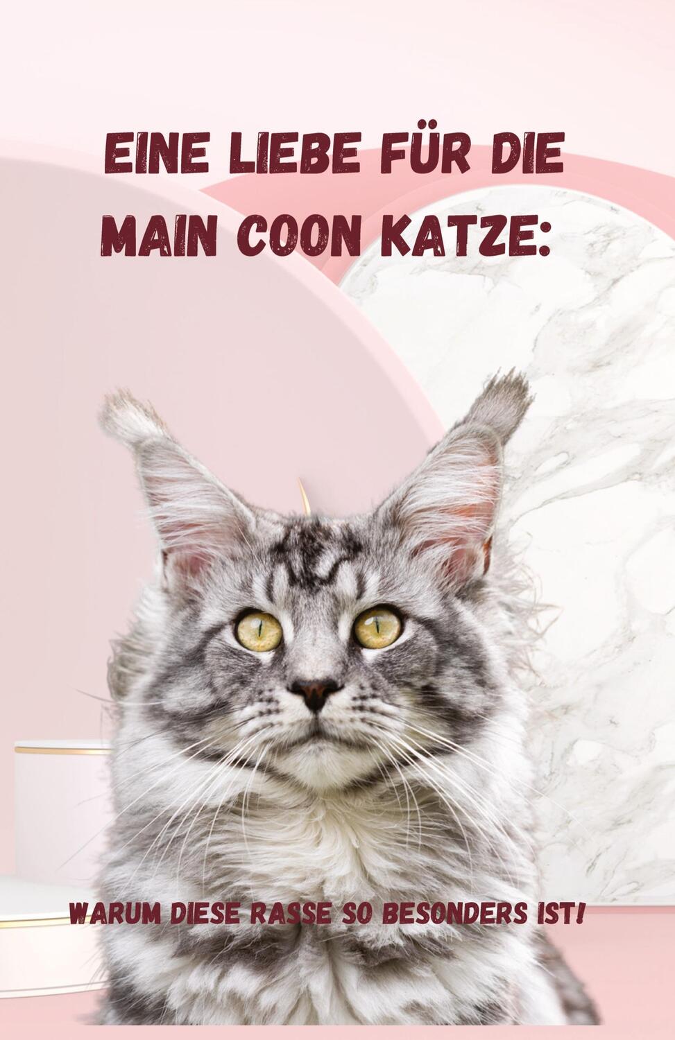 Cover: 9783347881303 | Eine Liebe für die Main Coon Katze | Sandra Schmidt | Taschenbuch