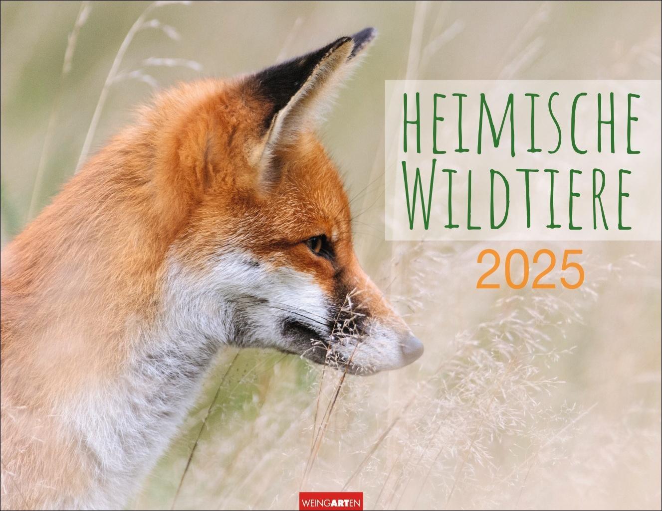 Cover: 9783839901144 | Heimische Wildtiere Kalender 2025 | Kalender | Spiralbindung | 14 S.