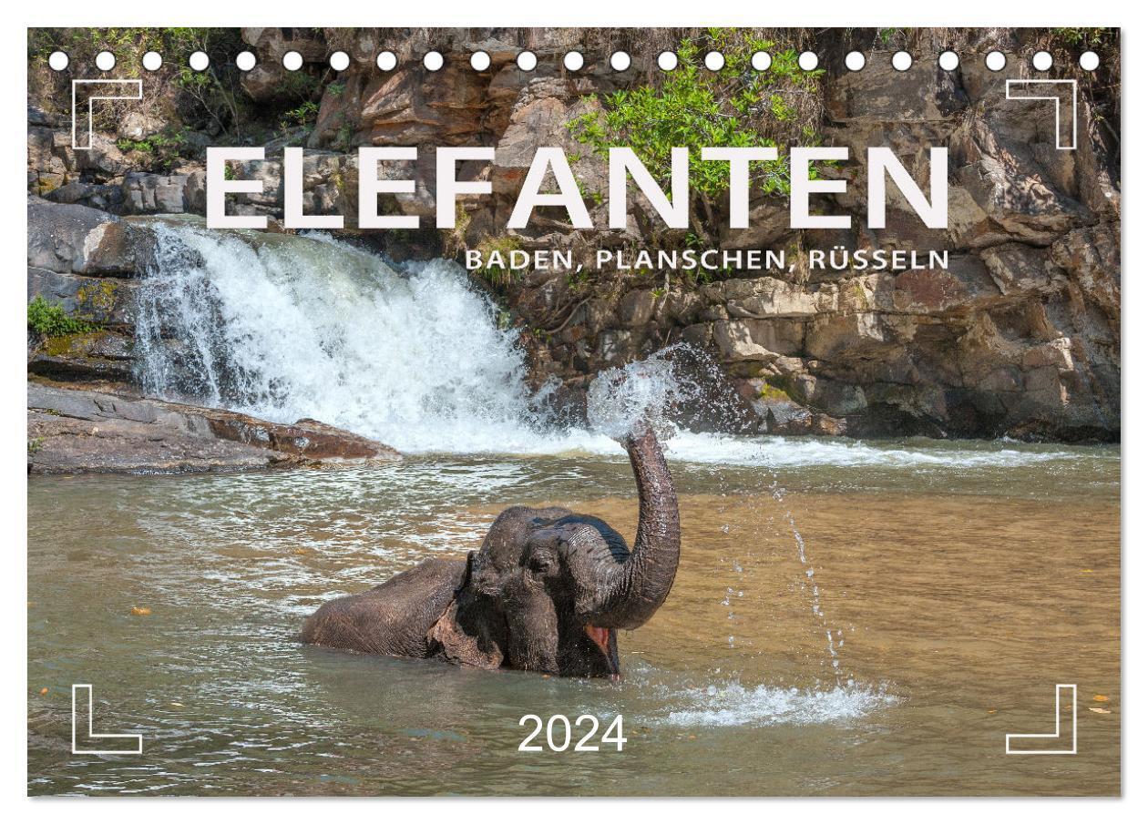 Cover: 9783675442139 | Elefanten - Baden, Planschen, Rüsseln (Tischkalender 2024 DIN A5...