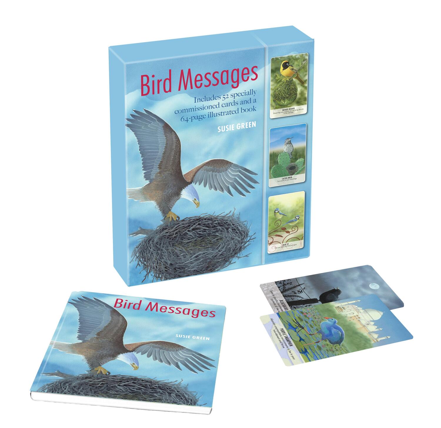 Cover: 9781782496625 | Bird Messages | Susie Green | Taschenbuch | Schachtel | Englisch