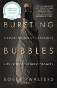 Cover: 9781846892790 | Bursting Bubbles | Robert Walters | Taschenbuch | Englisch | 2018