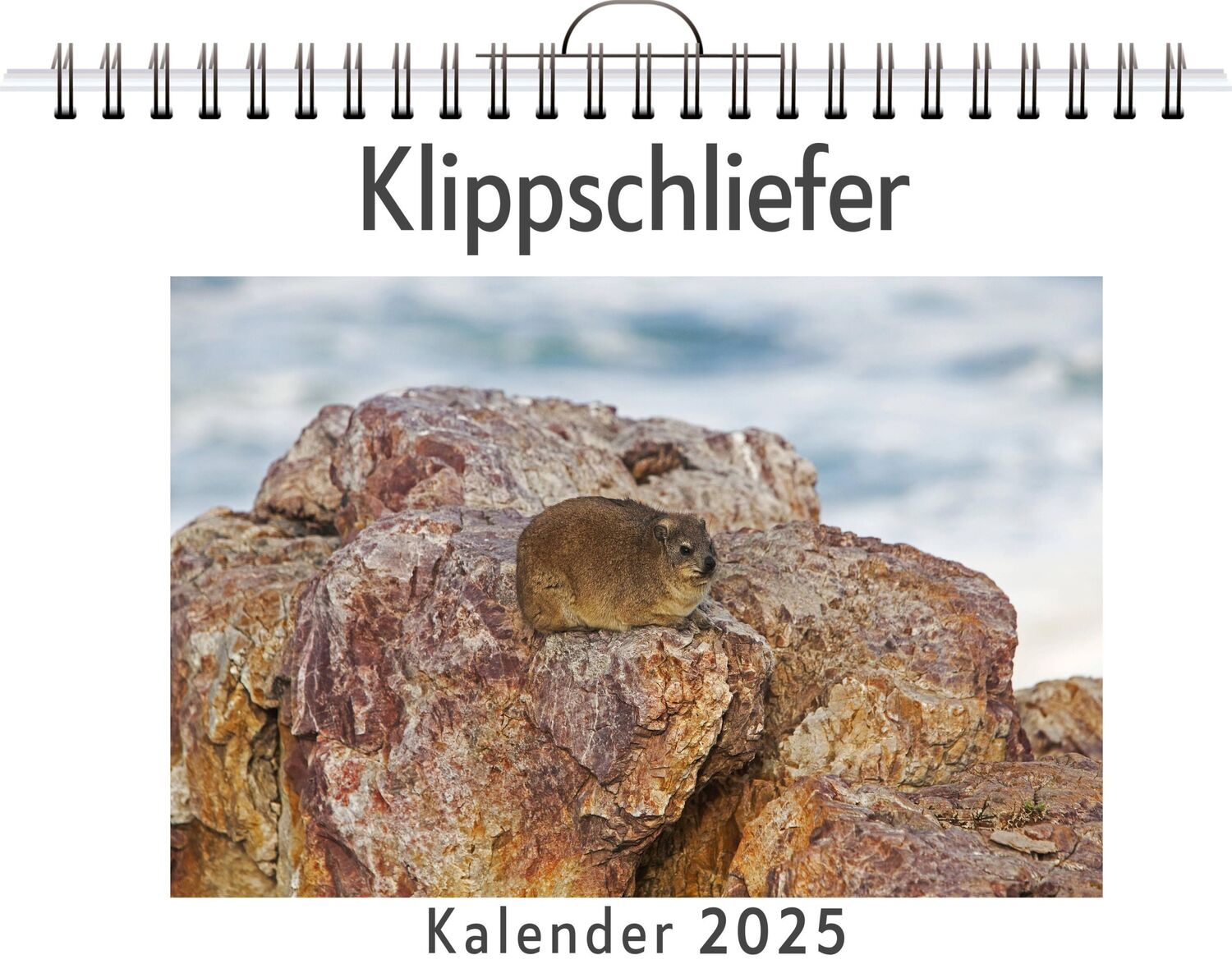 Cover: 9783759130839 | Klippschliefer | Jakob Lang | Kalender | Kalender | 14 S. | Deutsch