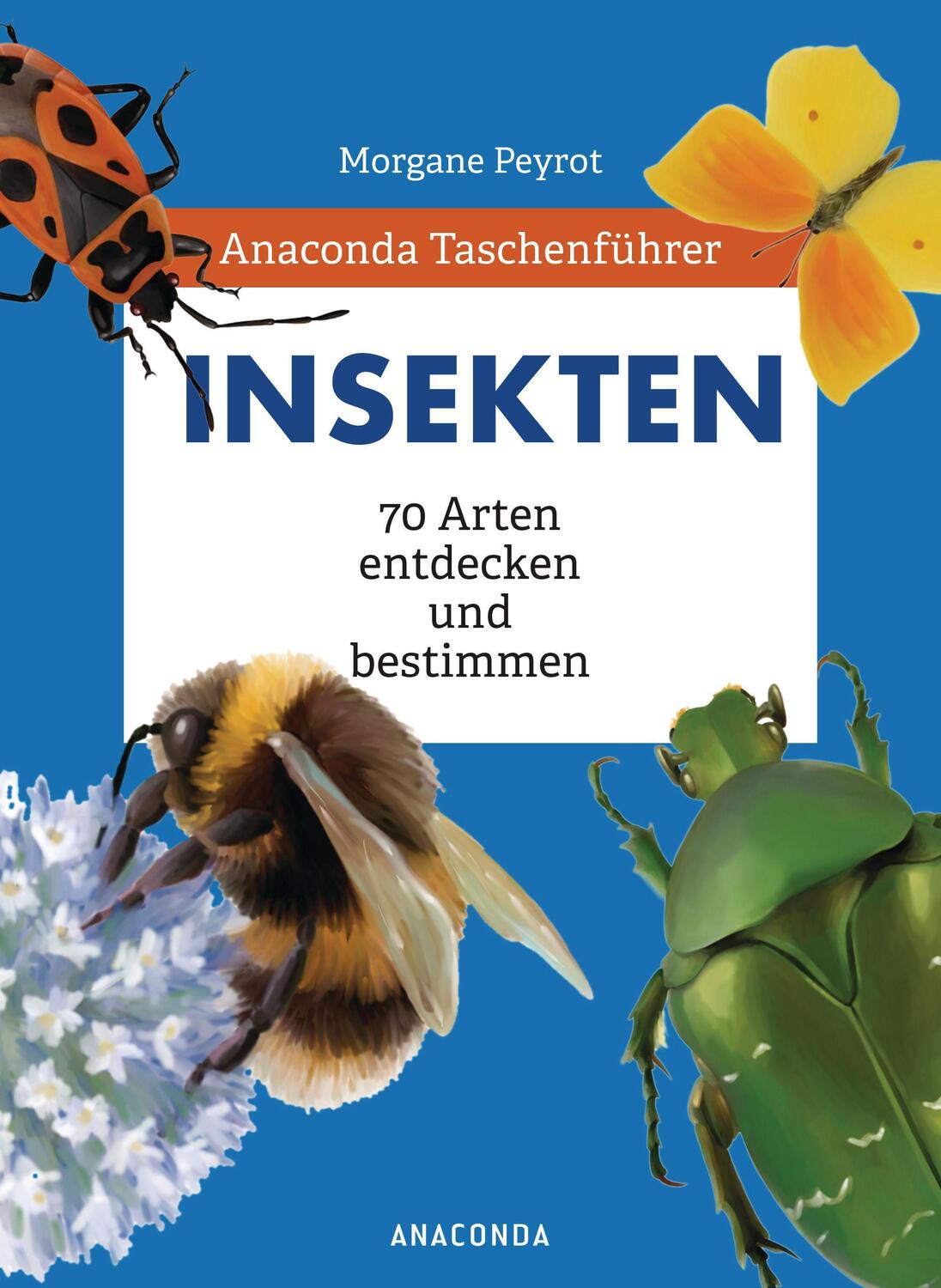 Cover: 9783730609484 | Anaconda Taschenführer Insekten. 70 Arten entdecken und bestimmen