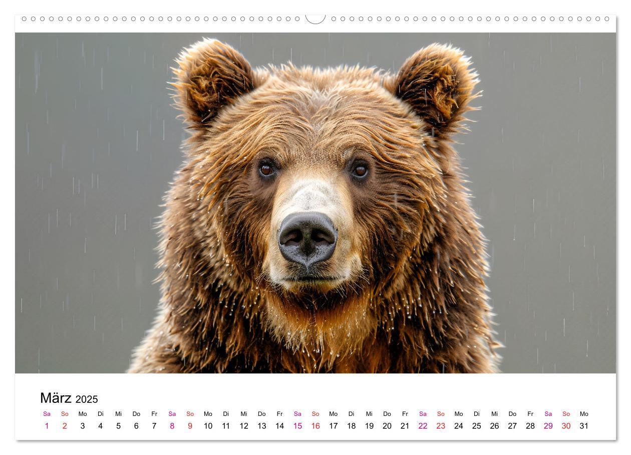 Bild: 9783457170472 | Bären - gefährlich nett (hochwertiger Premium Wandkalender 2025 DIN...