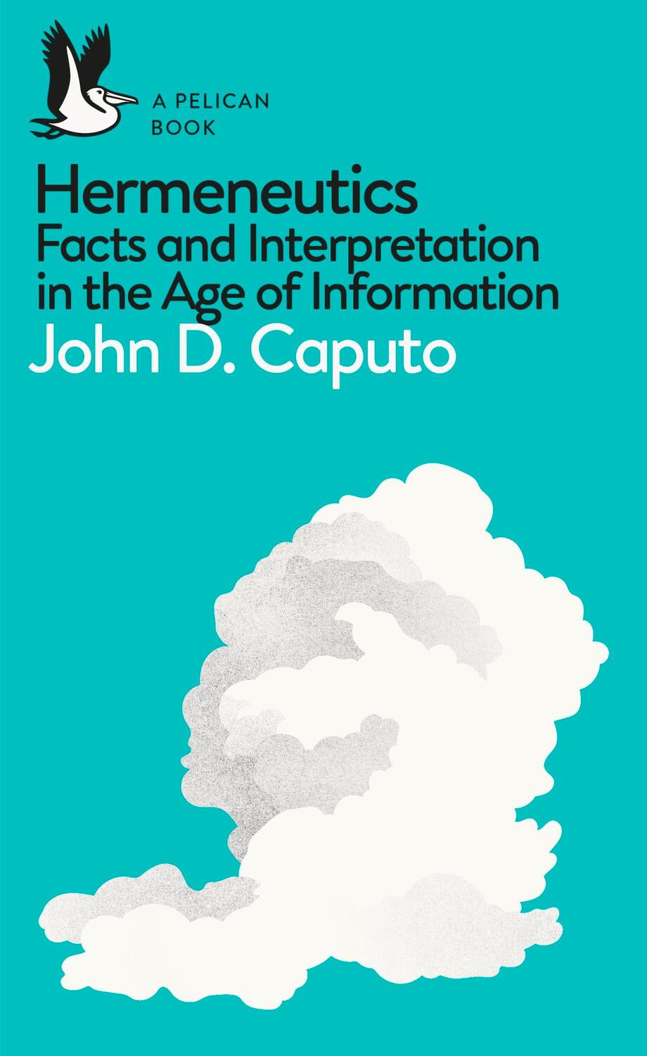 Cover: 9780241257852 | Hermeneutics | Facts and Interpretation in the Age of Information