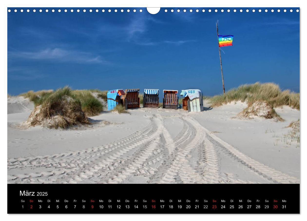 Bild: 9783435588633 | Amrum, Perle der Nordsee (Wandkalender 2025 DIN A3 quer), CALVENDO...