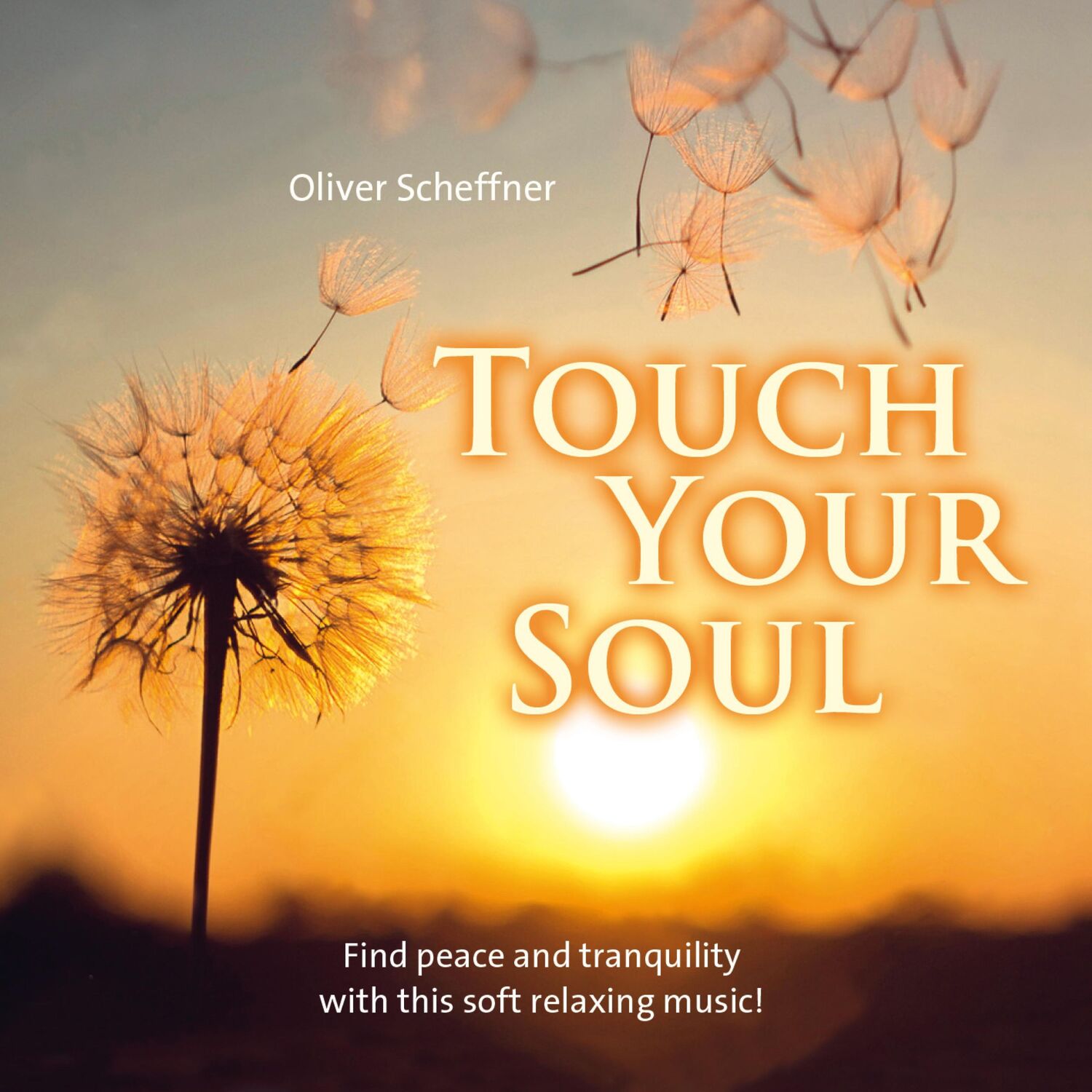 Cover: 9783957663016 | Touch Your Soul | Oliver Scheffner | Audio-CD | 4 S. | Englisch | 2017