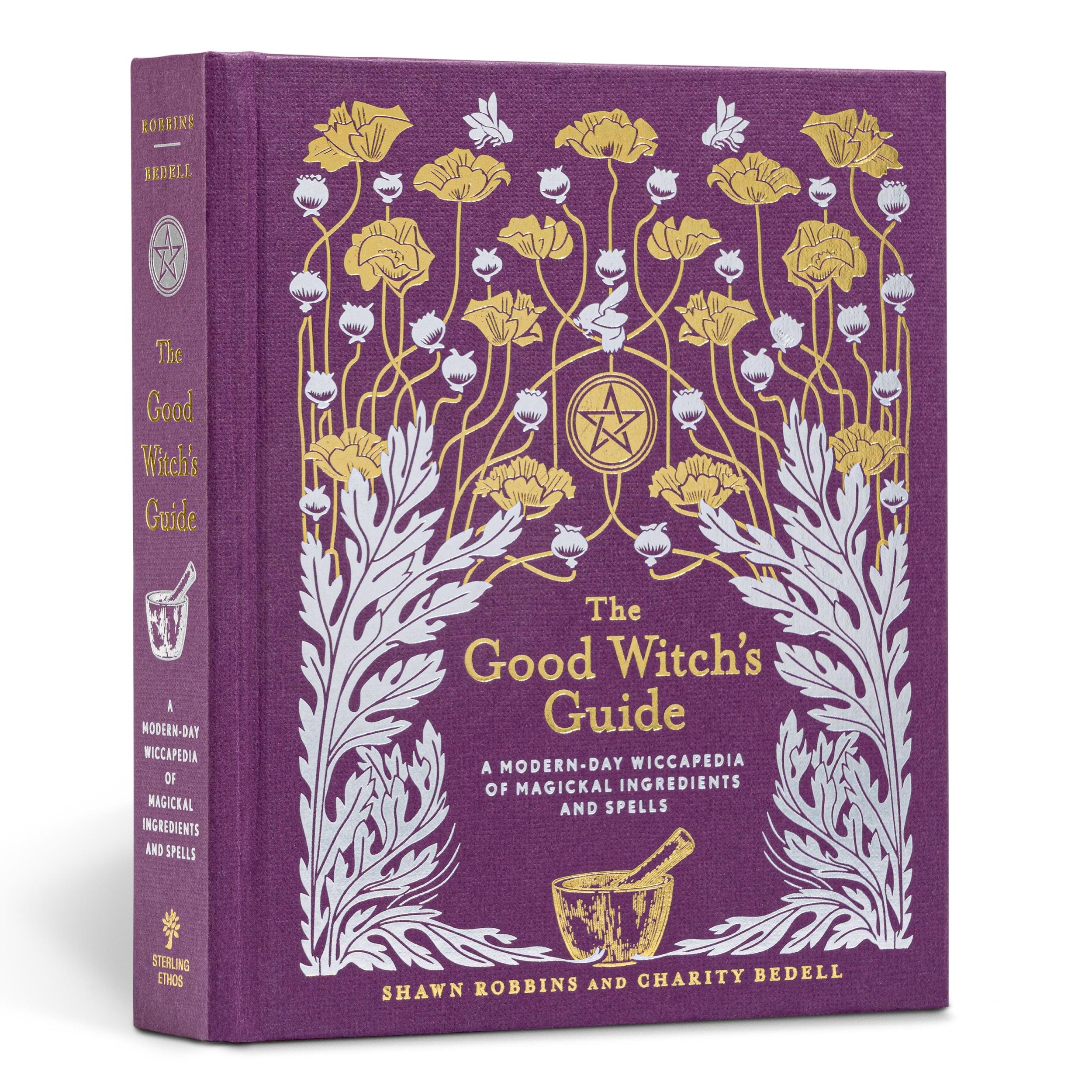 Cover: 9781454919520 | The Good Witch's Guide | Shawn Robbins (u. a.) | Buch | Englisch