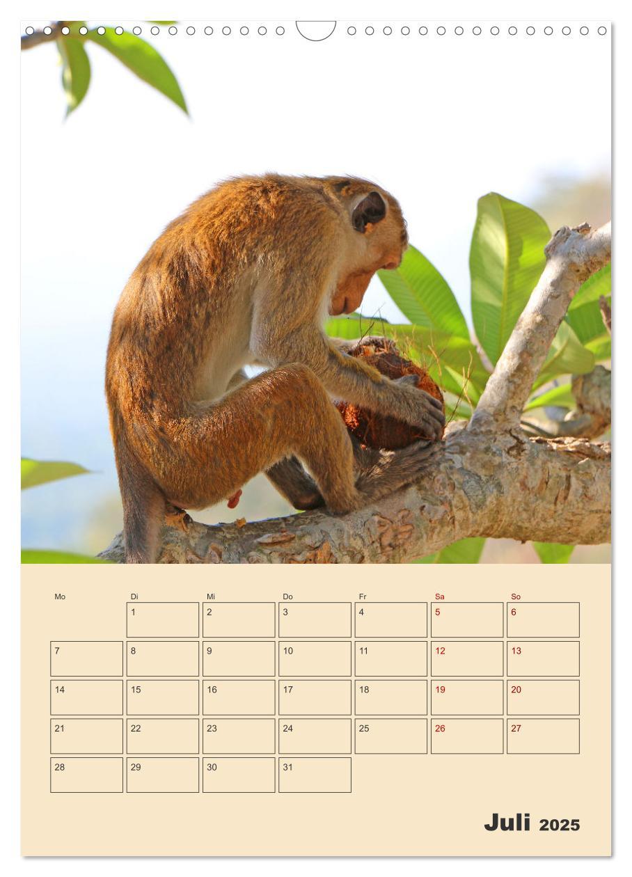 Bild: 9783435884612 | Sri Lanka - Terminplaner (Wandkalender 2025 DIN A3 hoch), CALVENDO...