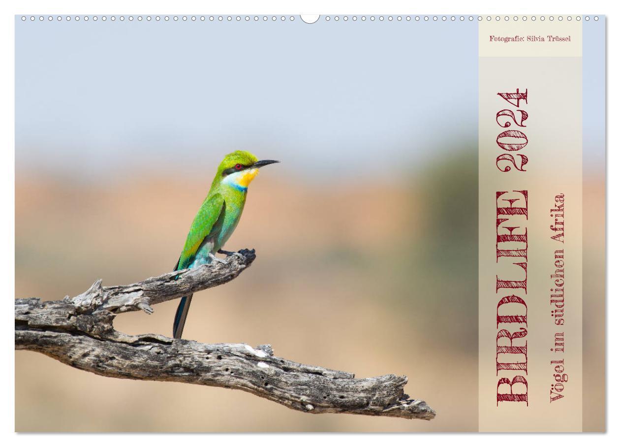 Cover: 9783675597235 | Birdlife - Vögel im südlichen Afrika (Wandkalender 2024 DIN A2...