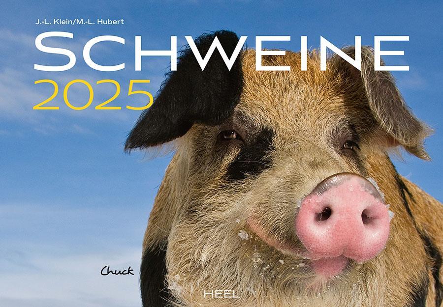 Cover: 9783966648332 | Schweine Kalender 2025 | Der Tierkalender mit den charmanten Namen