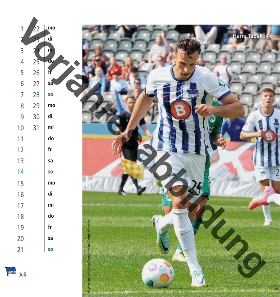 Bild: 9783756405480 | Hertha BSC Postkartenkalender 2025 | Kalender | Spiralbindung | 13 S.