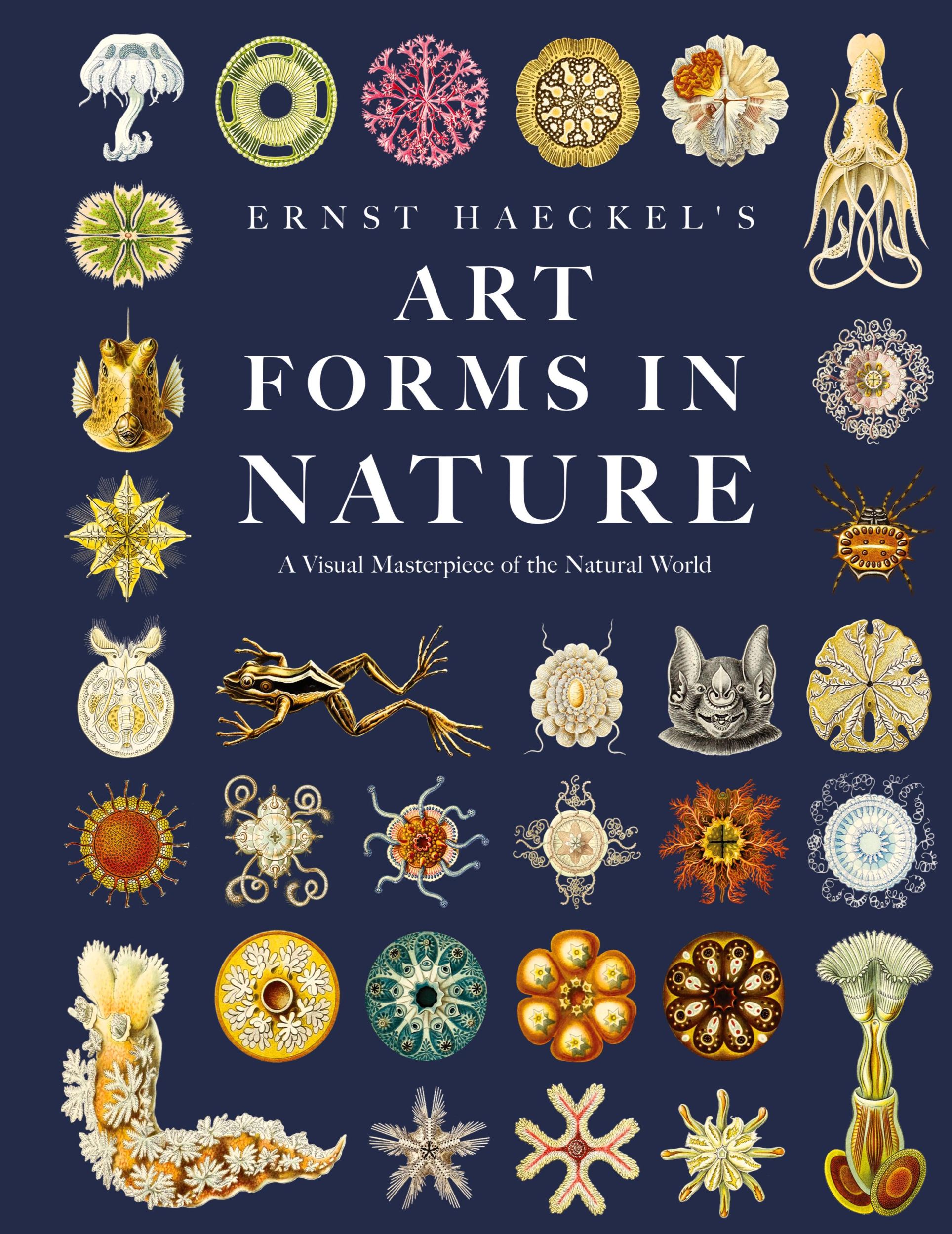 Cover: 9781528773133 | Ernst Haeckel's Art Forms in Nature | Ernst Haeckel | Buch | Englisch