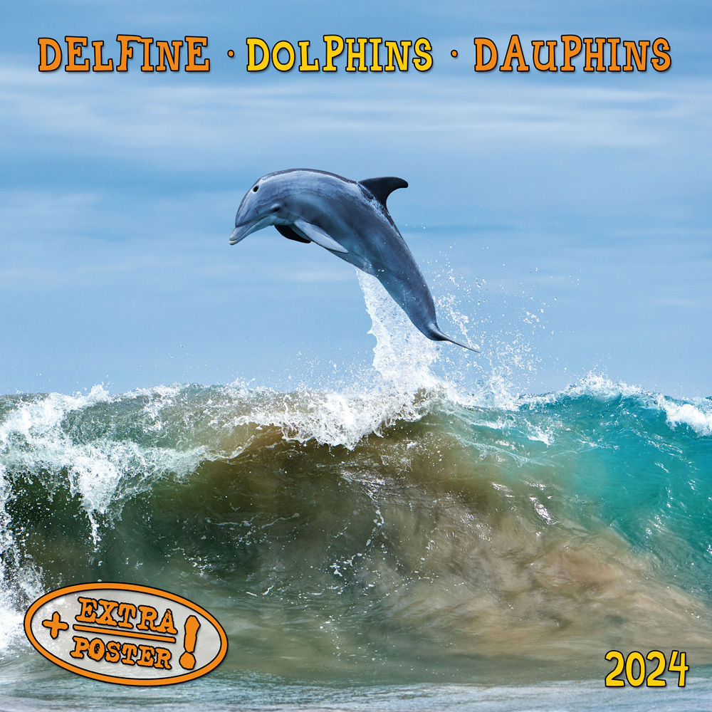 Cover: 9783959293372 | Dolphins/Delfine 2024 | Kalender 2024 | Kalender | Drahtheftung | 2024