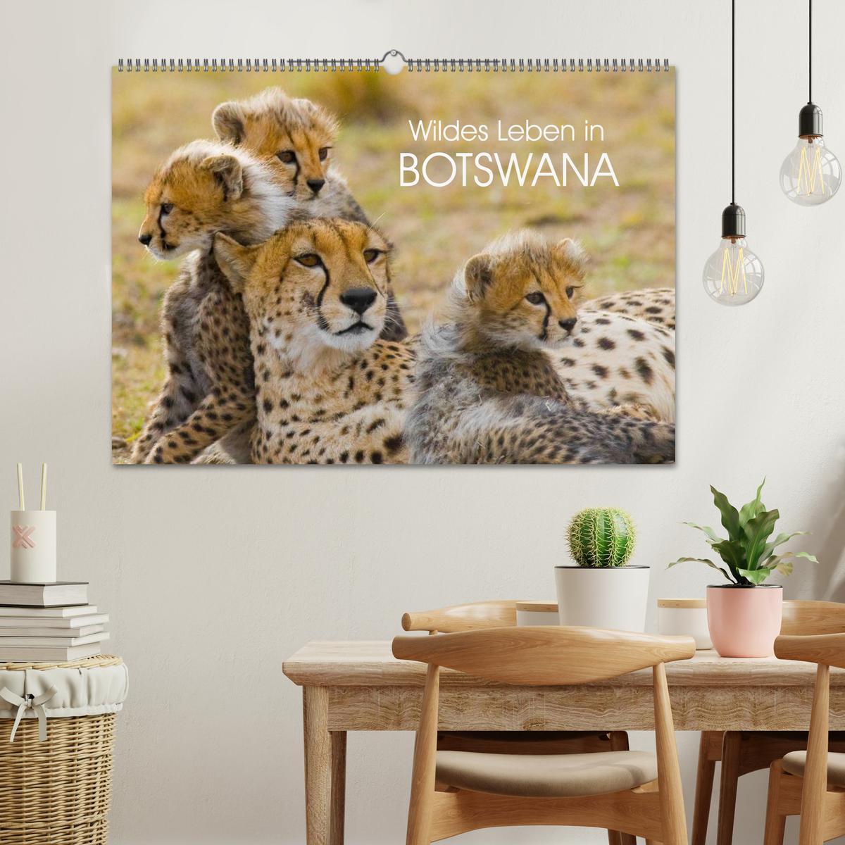 Bild: 9783435491292 | Wildes Leben in Botswana (Wandkalender 2025 DIN A2 quer), CALVENDO...