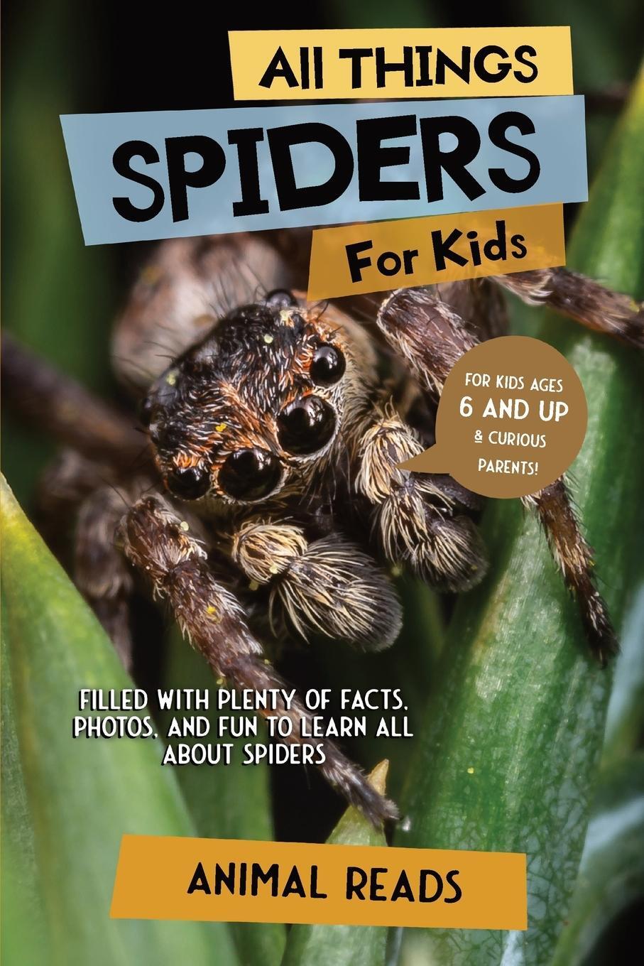 Cover: 9783967721171 | All Things Spiders For Kids | Animal Reads | Taschenbuch | Paperback