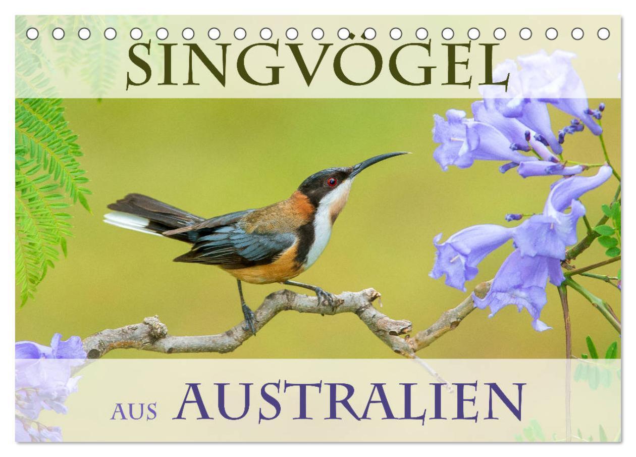 Cover: 9783383237492 | Singvögel aus Australien (Tischkalender 2024 DIN A5 quer), CALVENDO...