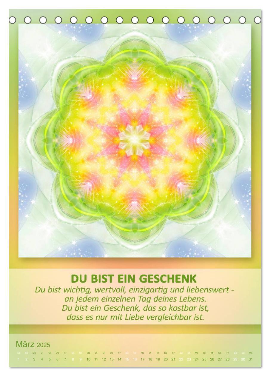 Bild: 9783457079515 | Light Energy Mandalas - Kalender - Vol. 1 (Tischkalender 2025 DIN...