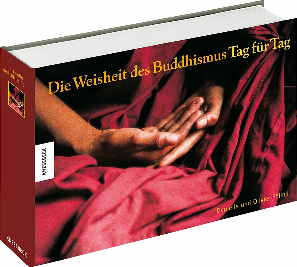 Cover: 9783896601889 | Die Weisheit des Buddhismus - Tag für Tag | Danielle Föllmi (u. a.)