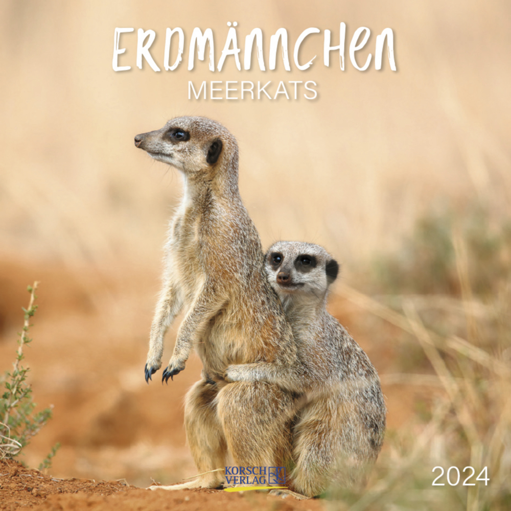 Cover: 9783731860419 | Erdmännchen 2024 | Korsch Verlag | Kalender | Englisch Broschur | 2024