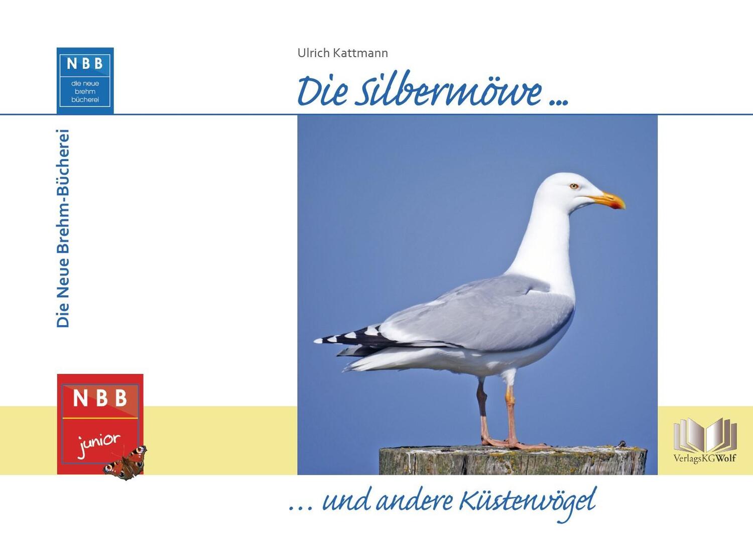 Cover: 9783894328658 | Die Silbermöwe und andere Küstenvögel | Ulrich Kattmann | Buch | 2022