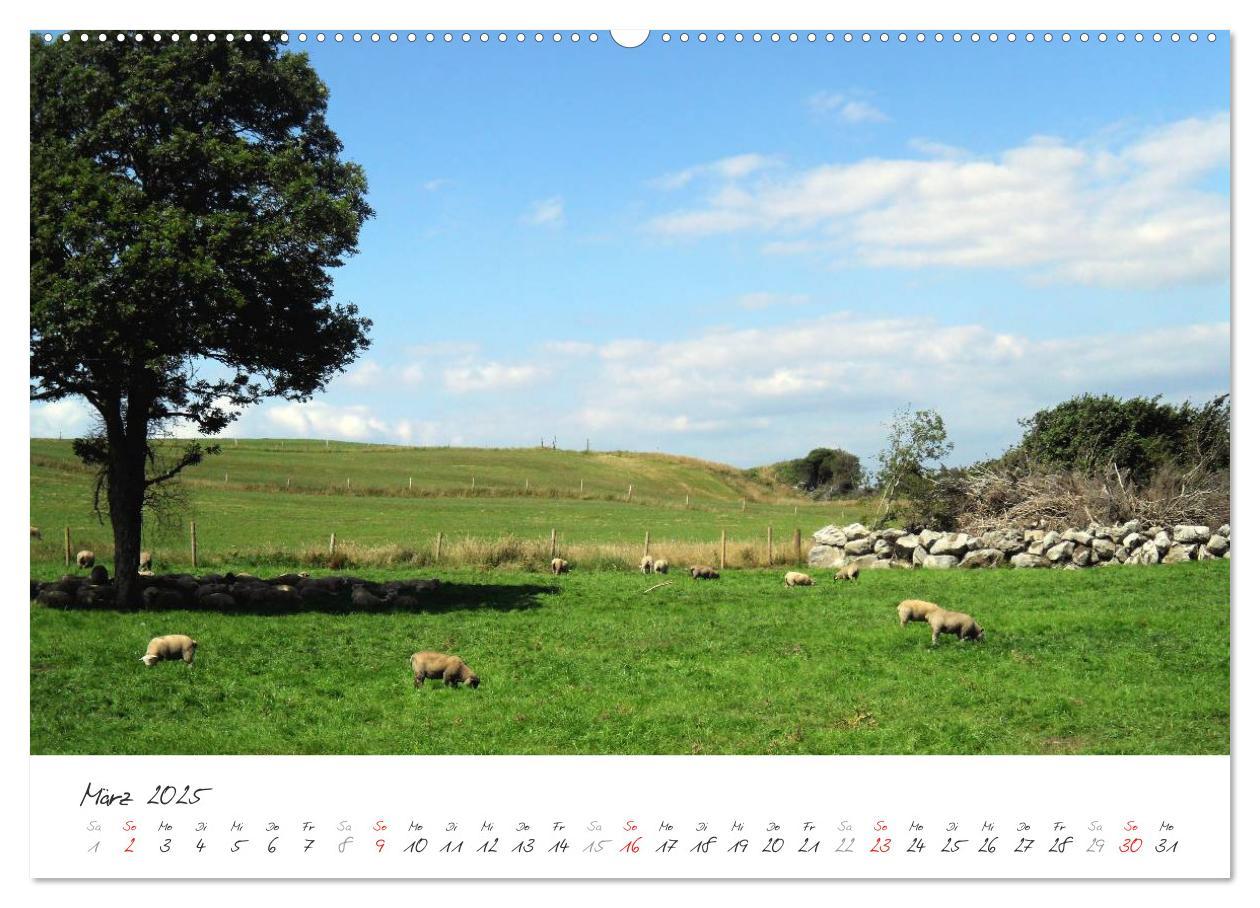 Bild: 9783435801381 | Märchenhaftes Irland (Wandkalender 2025 DIN A2 quer), CALVENDO...