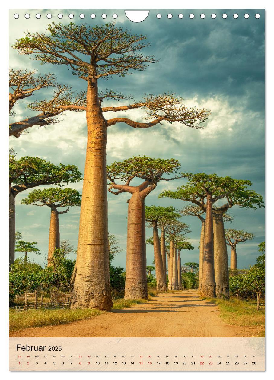 Bild: 9783435905140 | MADAGASKAR: Baobabs, Lemuren, Naturwunder (Wandkalender 2025 DIN A4...