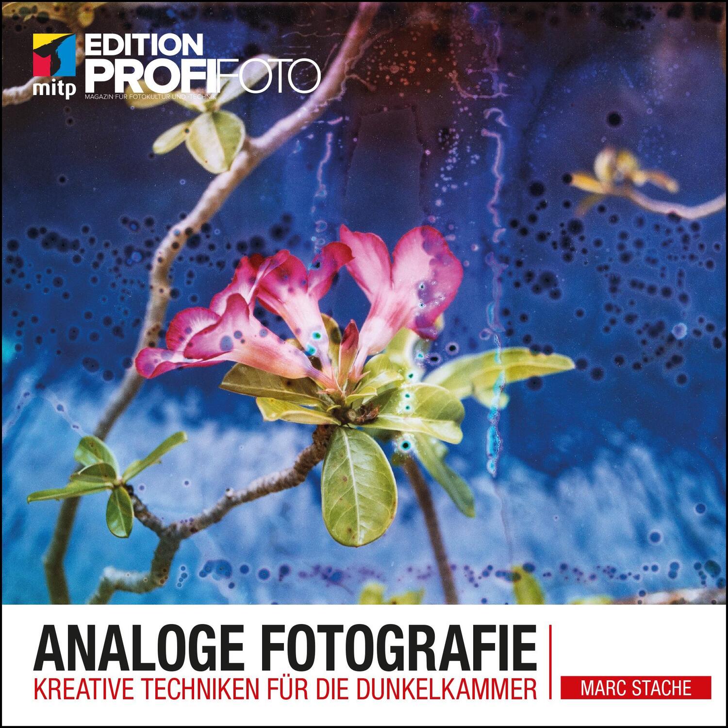 Cover: 9783747500064 | Analoge Fotografie | Kreative Techniken für die Dunkelkammer | Stache