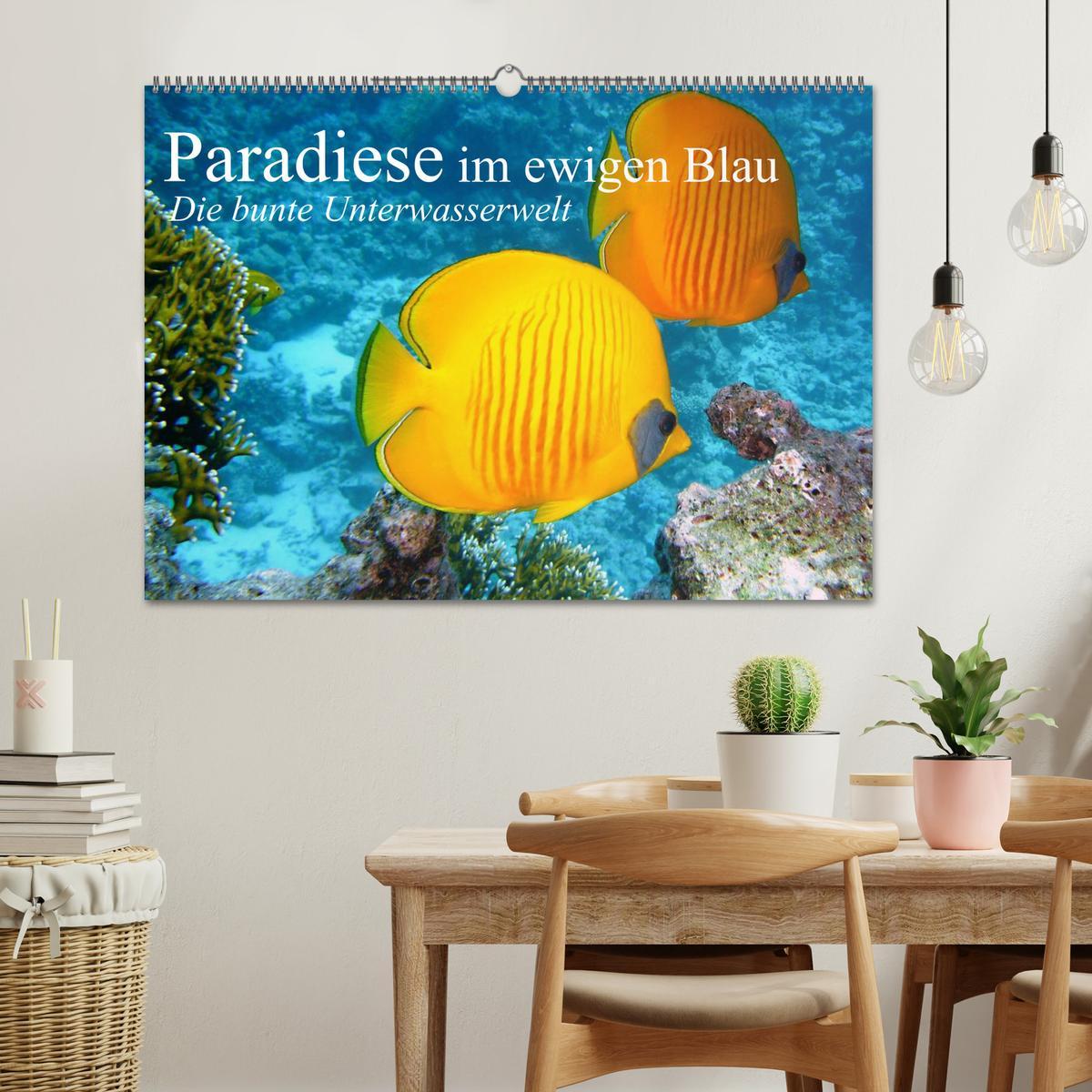 Bild: 9783435590254 | Paradiese im ewigen Blau. Die bunte Unterwasserwelt (Wandkalender...