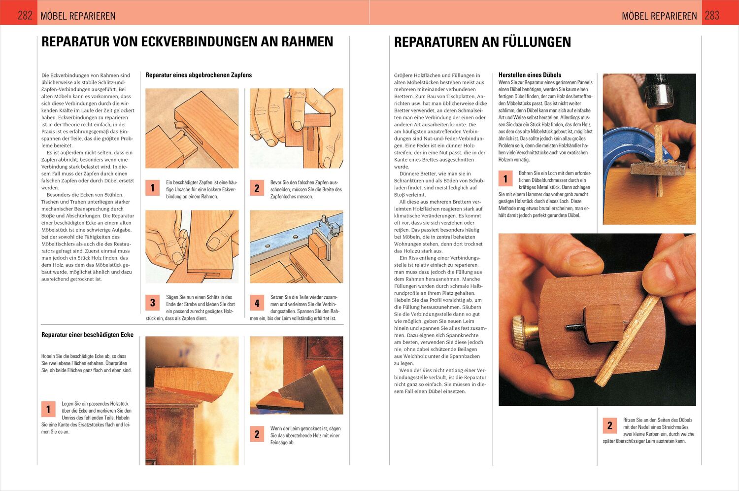 Bild: 9783809436843 | Handbuch Holz | Material, Bearbeitung, Restaurierung | Mark Ramuz