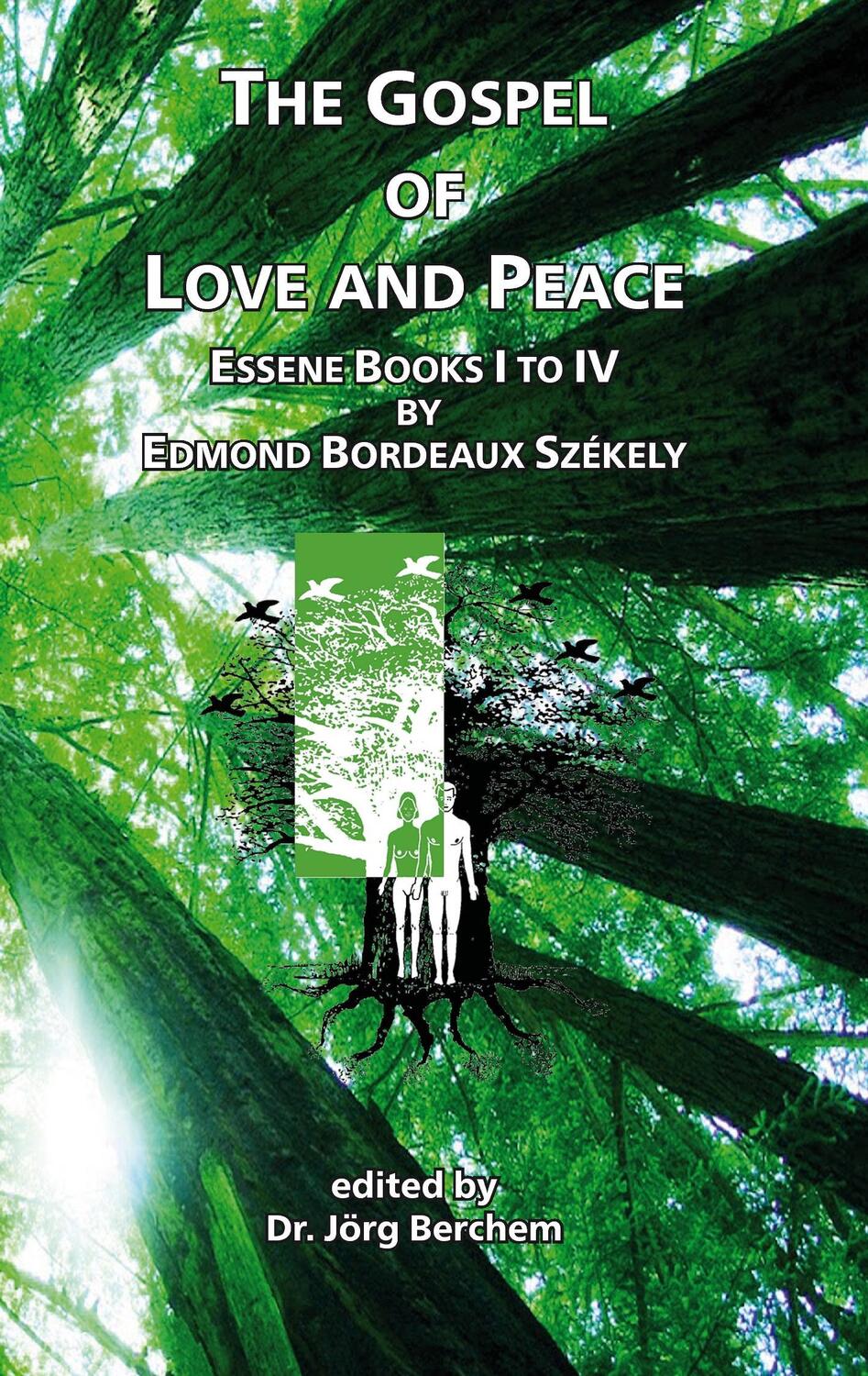 Cover: 9783741285820 | The Gospel of Love and Peace | Jörg Berchem | Taschenbuch | Englisch