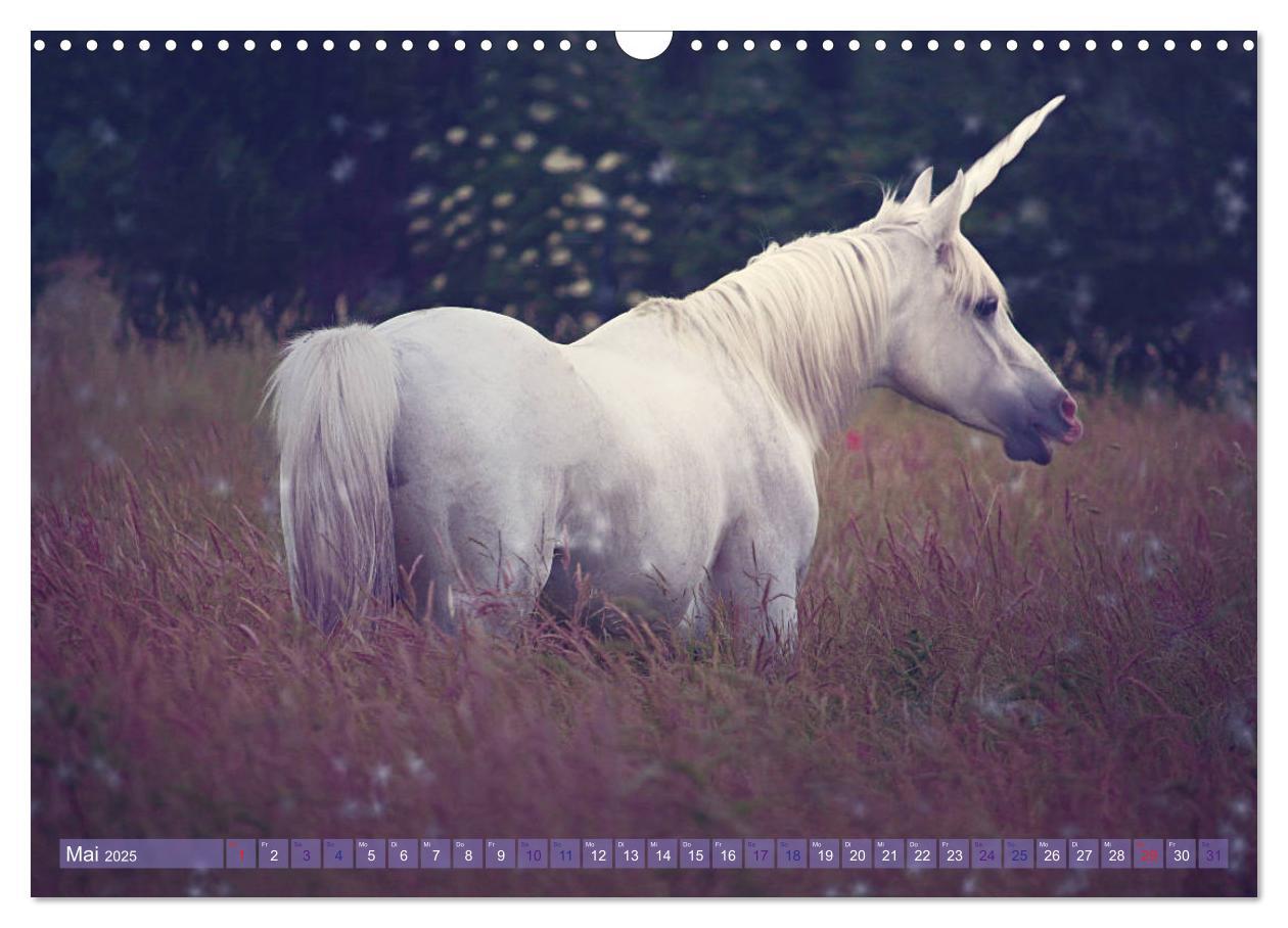 Bild: 9783435307562 | Einhorn Love - Fantasiewelt (Wandkalender 2025 DIN A3 quer),...