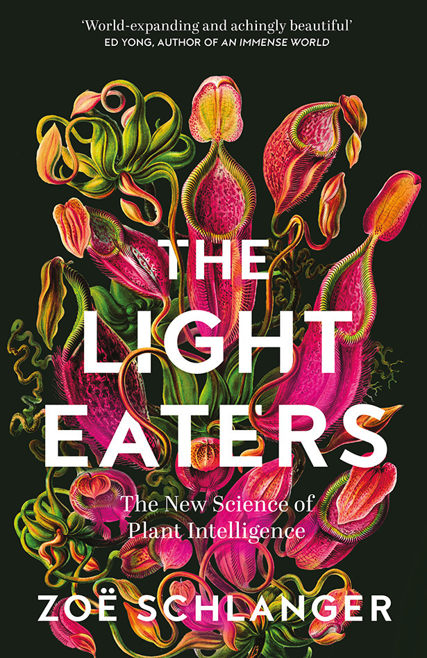 Cover: 9780008445355 | The Light Eaters | The New Science of Plant Intelligence | Schlanger