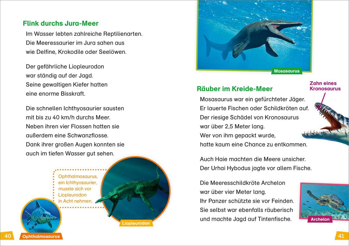 Bild: 9783788676698 | WAS IST WAS Erstes Lesen Band 13. Dinosaurier | Karin Bischoff | Buch