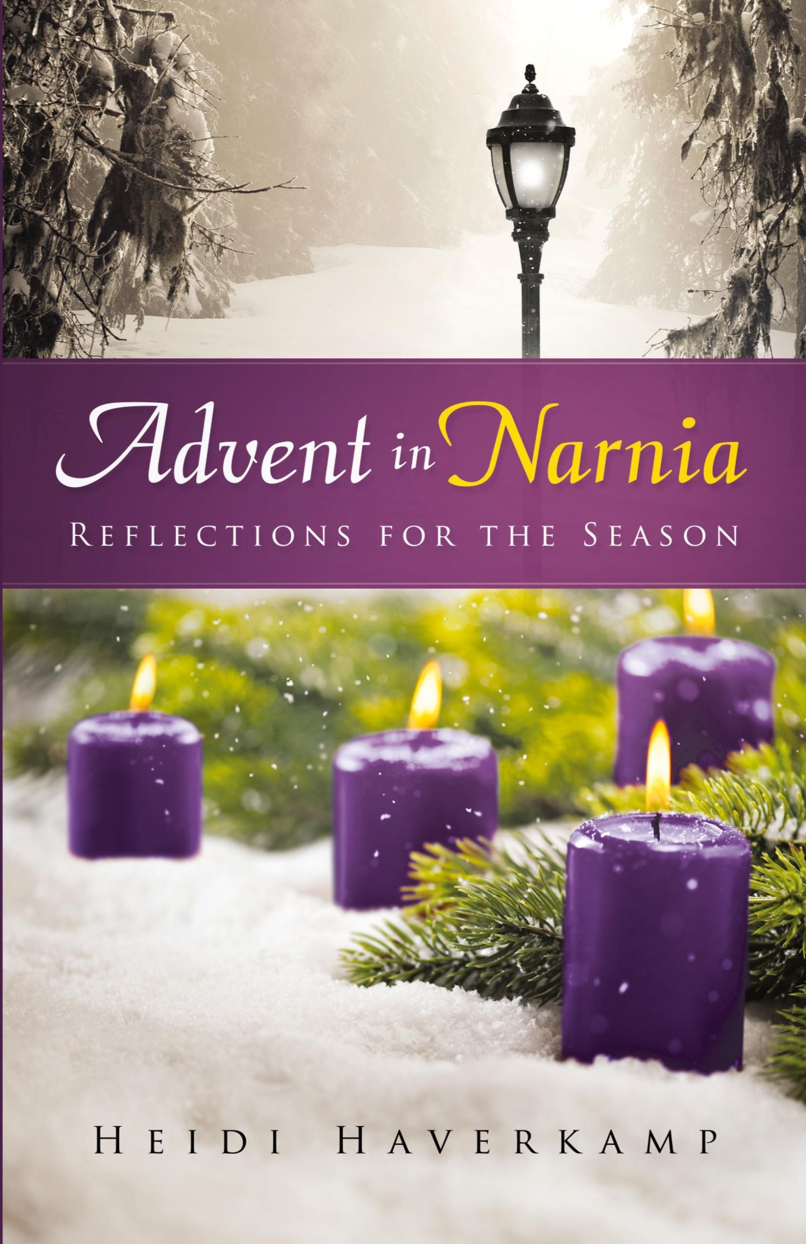 Cover: 9780664261795 | Advent in Narnia | Heidi Haverkamp | Taschenbuch | Englisch | 2015