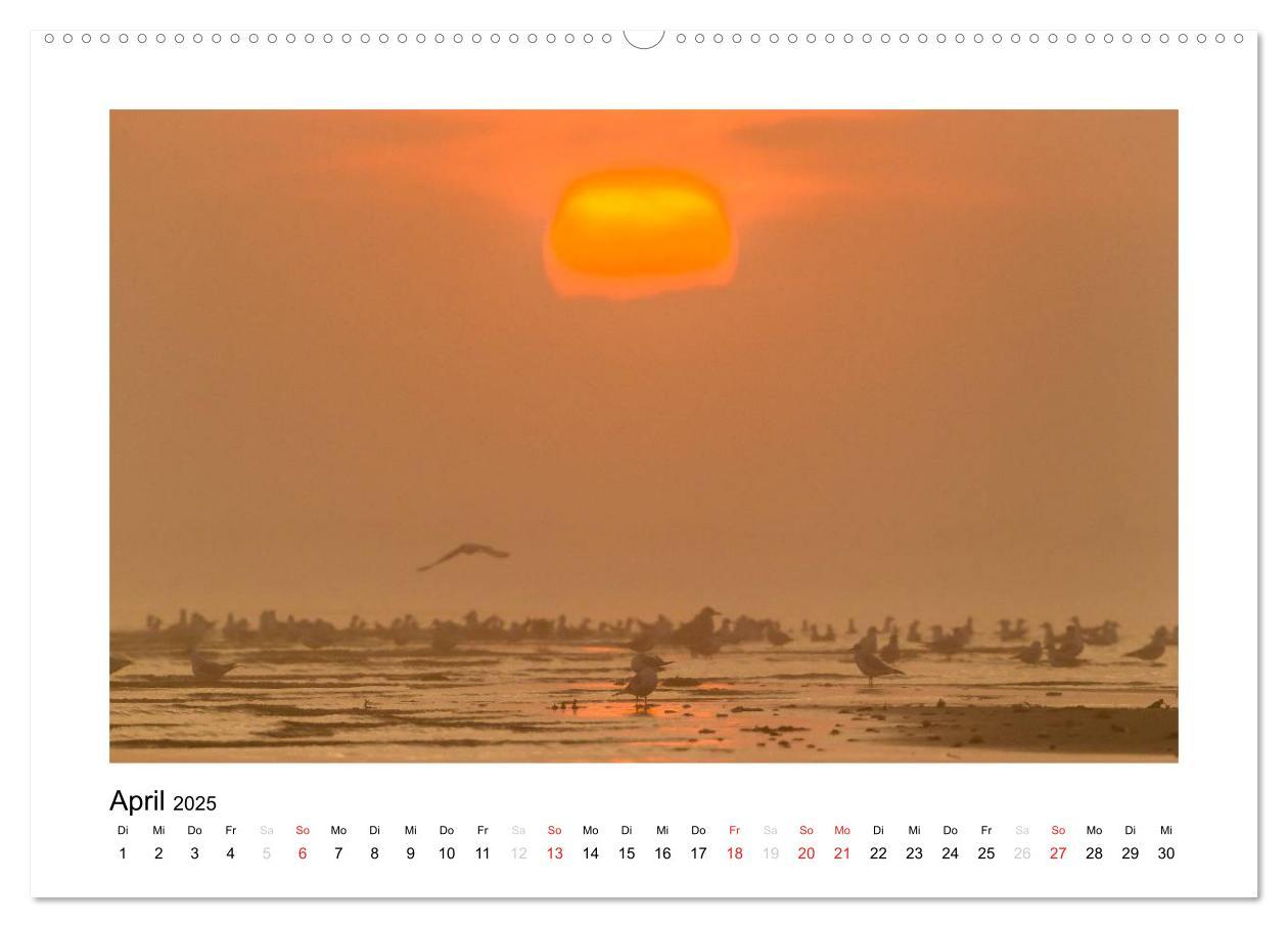 Bild: 9783435666256 | FEHMARN - Magische Momente (hochwertiger Premium Wandkalender 2025...