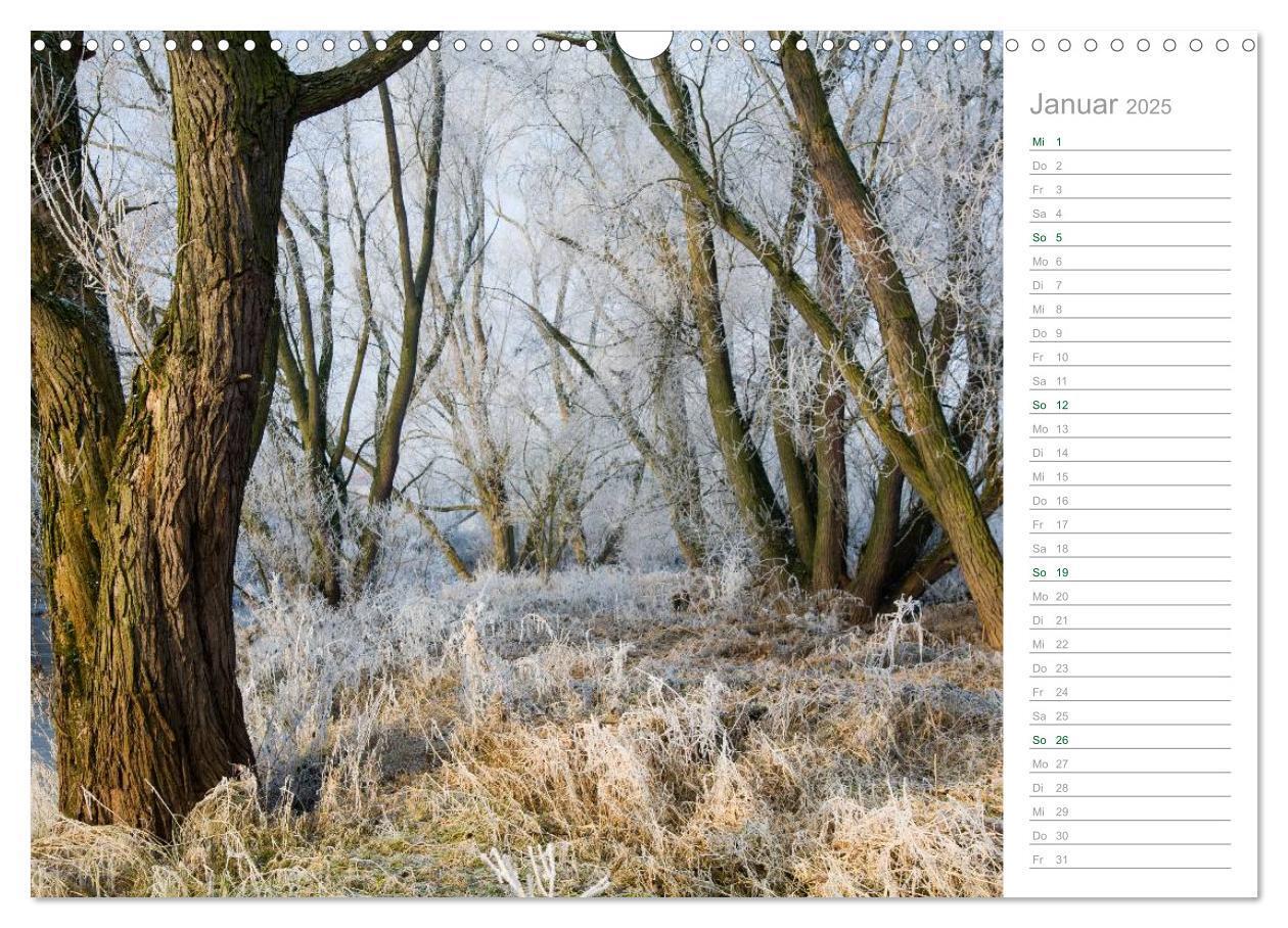 Bild: 9783435542369 | Im Deutschen Wald 2025 - ein Notizkalender (Wandkalender 2025 DIN...