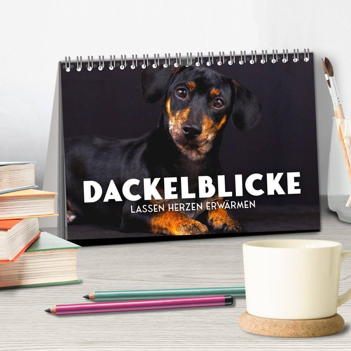 Bild: 9783383883552 | Dackelblicke - Lassen Herzen erwärmen. (Tischkalender 2025 DIN A5...