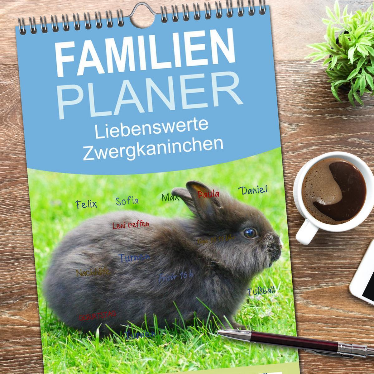 Bild: 9783457124925 | Familienplaner 2025 - Liebenswerte Zwergkaninchen mit 5 Spalten...