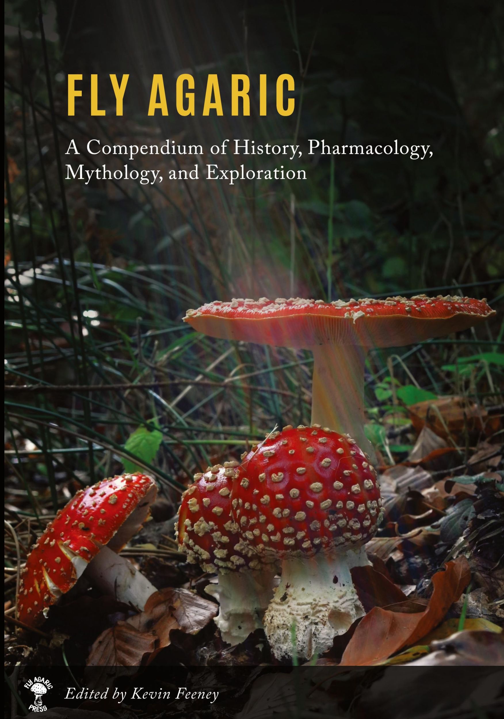 Cover: 9780578714424 | Fly Agaric | Kevin M Feeney | Taschenbuch | Englisch | 2020