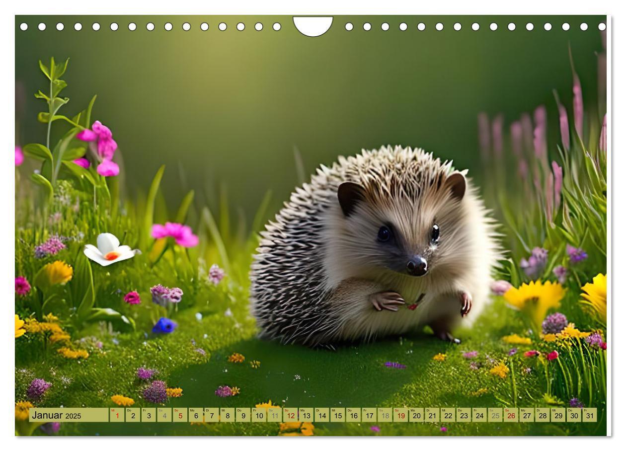 Bild: 9783383868696 | Igel-Abenteuer (Wandkalender 2025 DIN A4 quer), CALVENDO...