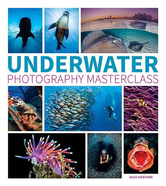 Cover: 9781781452226 | Underwater Photography Masterclass | A Mustard | Taschenbuch | 2016